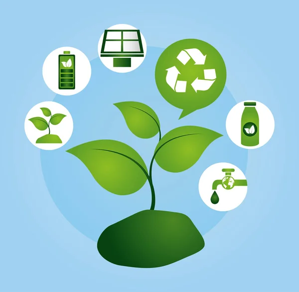 Poster eco friendly com ícones de plantas e conjuntos — Vetor de Stock