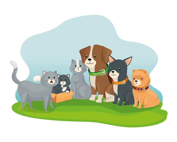 Kis kutyák és macskák csoportja — Stock Vector