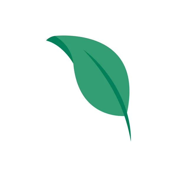 Изолированная икона листового растения — стоковый вектор