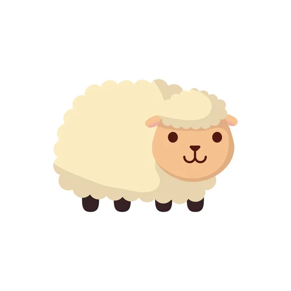 Cute sheep farm animal character — Stock Vector