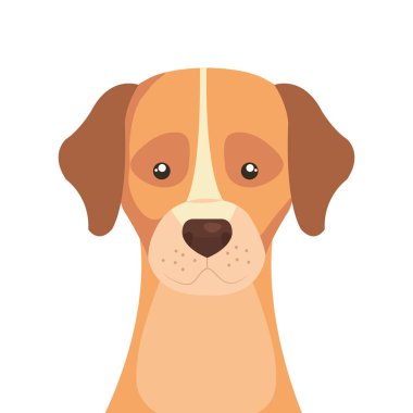 hayvan izole köpek simge sevimli