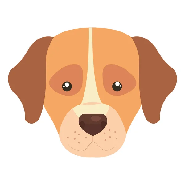 Head of cute dog animal isolated icon — Stock Vector