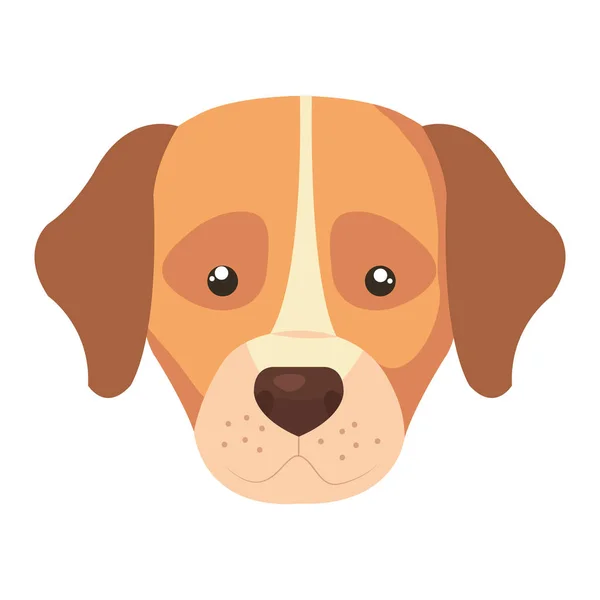 Face of dog animal isolated icon — Stock Vector