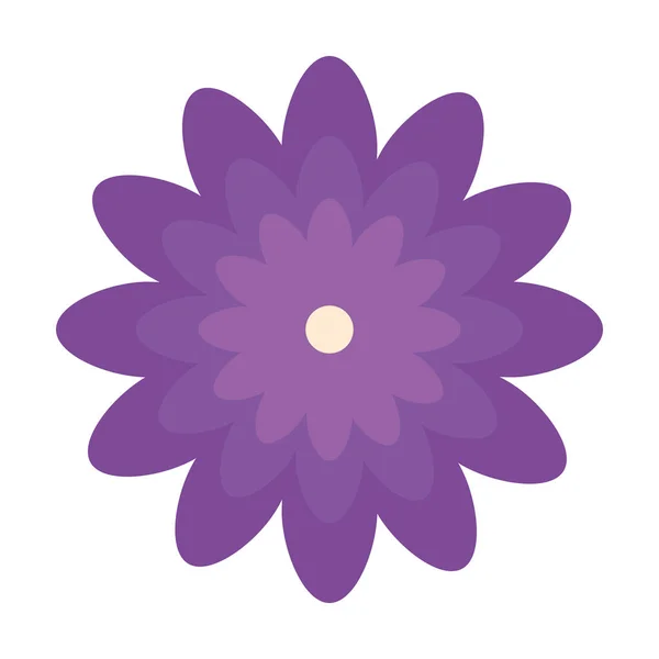 Lindo flor naturaleza aislado icono — Vector de stock