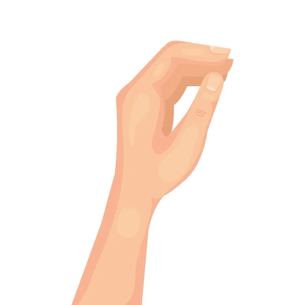 Hand orgaan mens geïsoleerd pictogram — Stockvector
