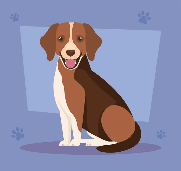 Brun hund med vit fläck i bakgrunden med pantavtryck — Stock vektor