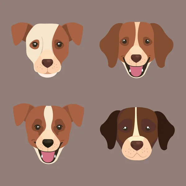 Set faces of cute dogs — ストックベクタ