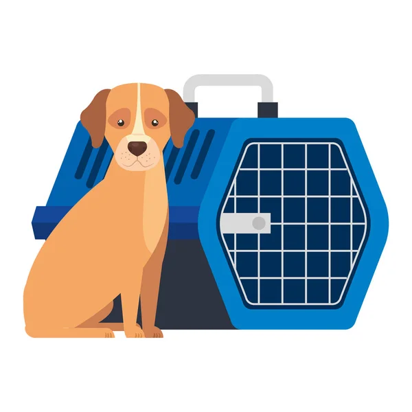 Cute dog animal with pet carry box — Stockvector