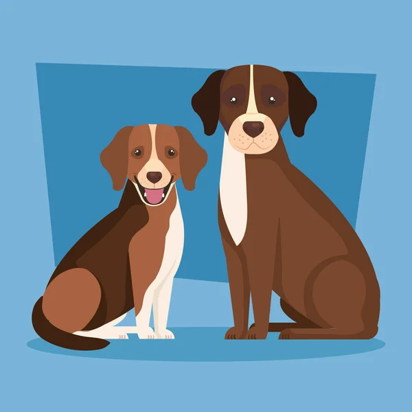 Gruppo di cani marrone e bianco — Vettoriale Stock
