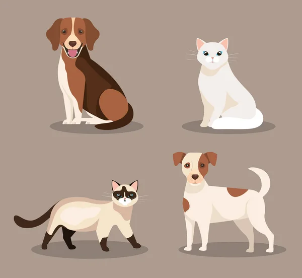Grupo de lindos gatos y perros — Vector de stock