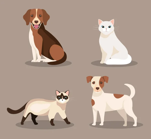 Grupo de gatos e cães bonitos —  Vetores de Stock