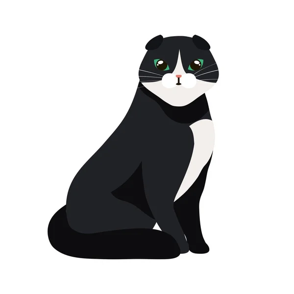 Bonito gato preto e branco isolado ícone — Vetor de Stock