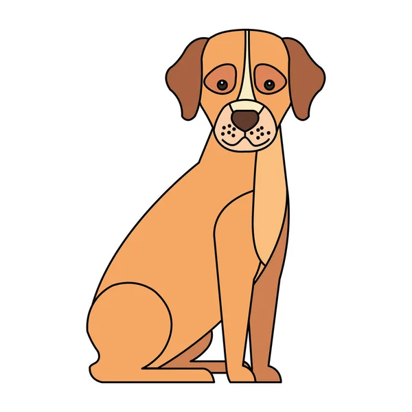 Schattige hond Animal geïsoleerde icoon — Stockvector