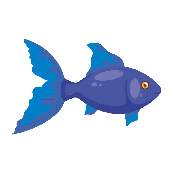 Şirin balık hayvan izole edilmiş simgesi — Stok Vektör