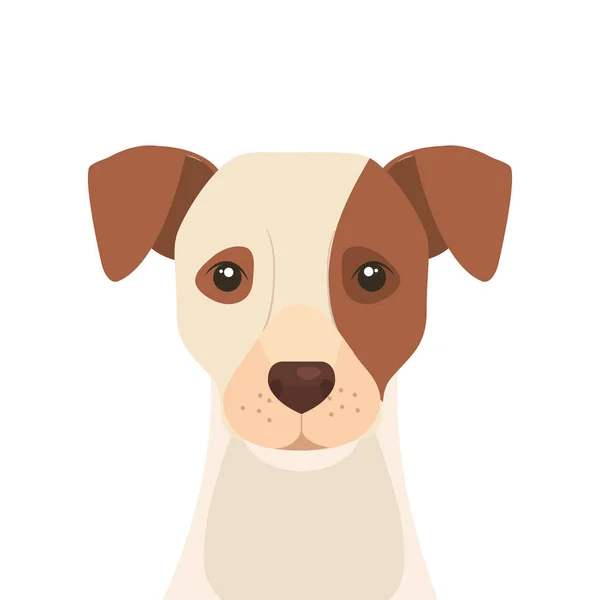 Cara de perro blanco con mancha marrón — Vector de stock