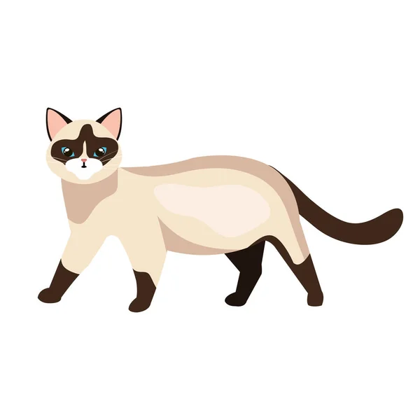 Söt katt djur isolerad ikon — Stock vektor