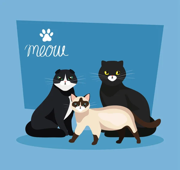 Ομάδα ζώων γάτες σε μπλε φόντο — Διανυσματικό Αρχείο