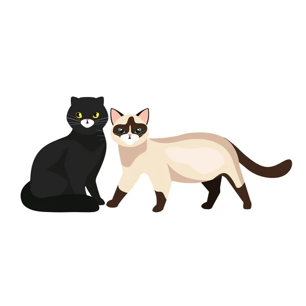 Grupo de gatos animales aislados icono — Vector de stock