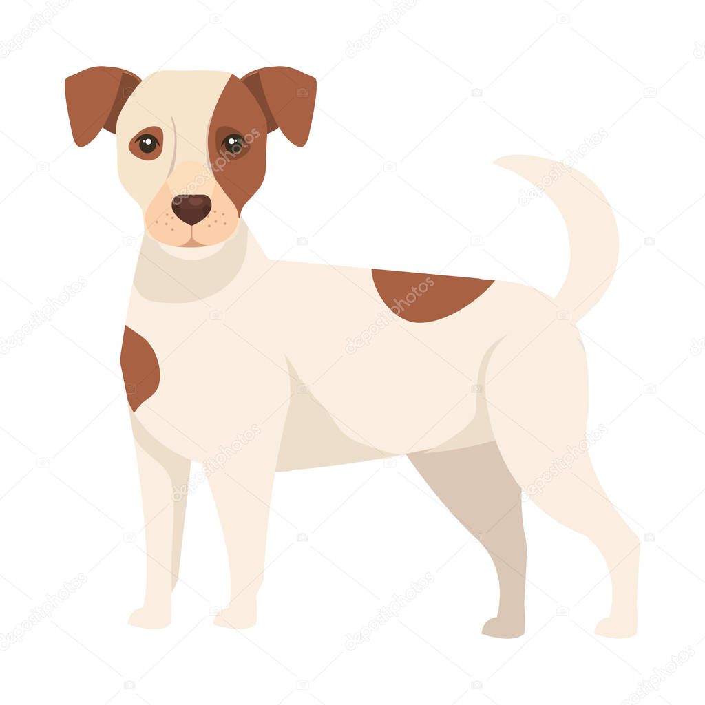 white dog with brown spotted isolated icon