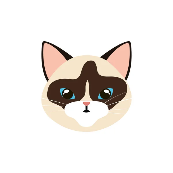 Tvář kočky zvíře izolované ikony — Stockový vektor