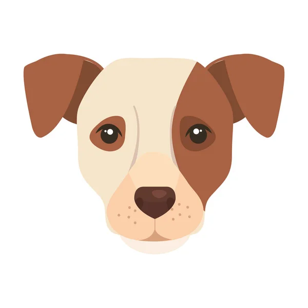 茶色の斑点のある白い犬の顔 — ストックベクタ