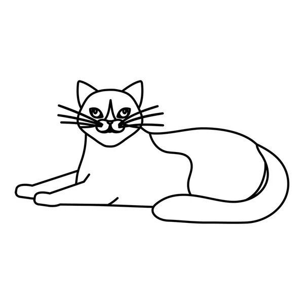 Lindo gato animal línea estilo icono — Vector de stock