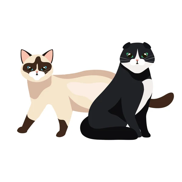 Grupp av katter djur isolerad ikon — Stock vektor