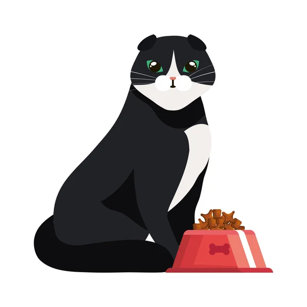 Cute cat with dish food isolated icon — 스톡 벡터