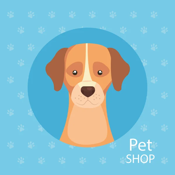 Loja de animais com cão bonito no quadro circular — Vetor de Stock