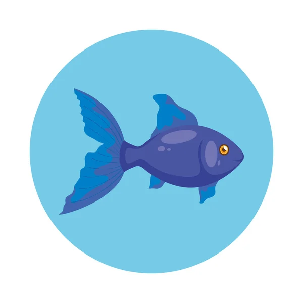 Cute fish in frame circular isolated icon — Stok Vektör
