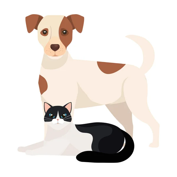 Lindo perro con gato blanco y negro — Archivo Imágenes Vectoriales