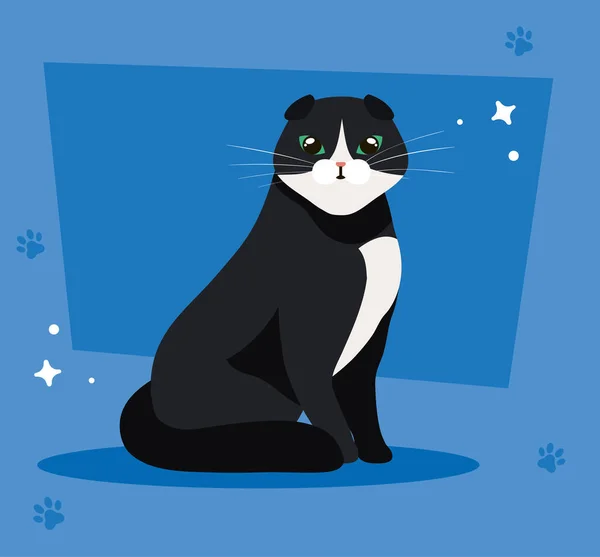 Bonito gato preto e branco no fundo azul com pawprints — Vetor de Stock