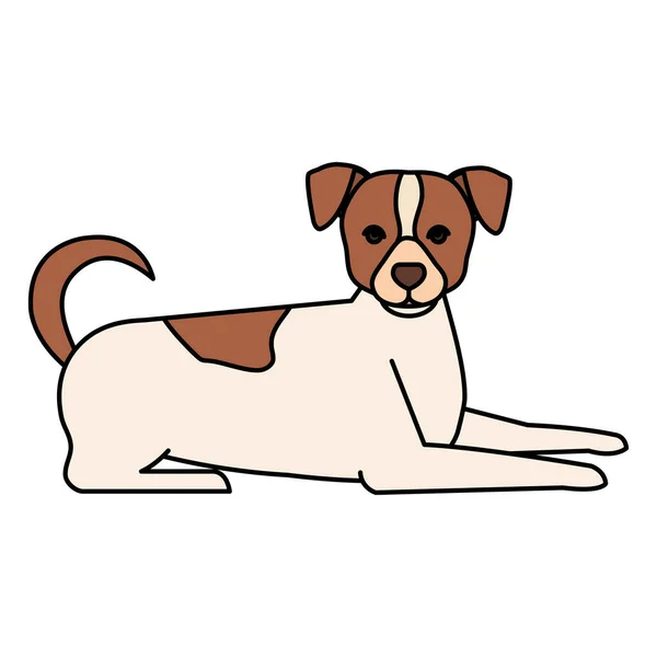 带有褐色斑点孤立图标的白色狗 — 图库矢量图片