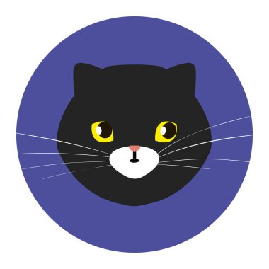 face of cat black in frame circular