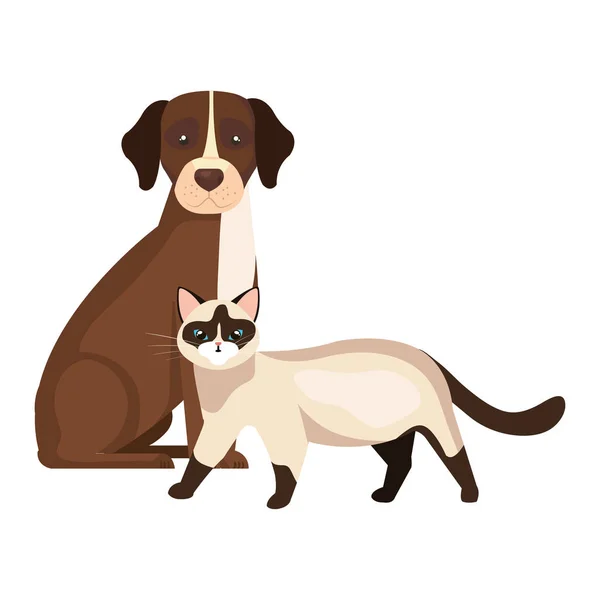 Cute dog with cat isolated icons — Stok Vektör