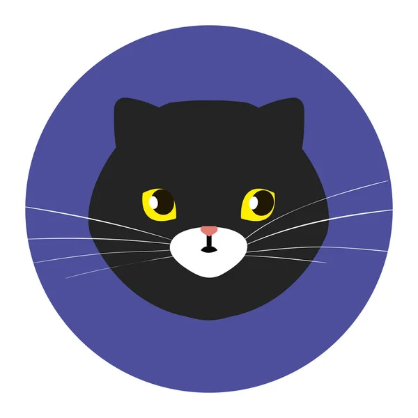 Face of cat black in frame circular — 图库矢量图片#