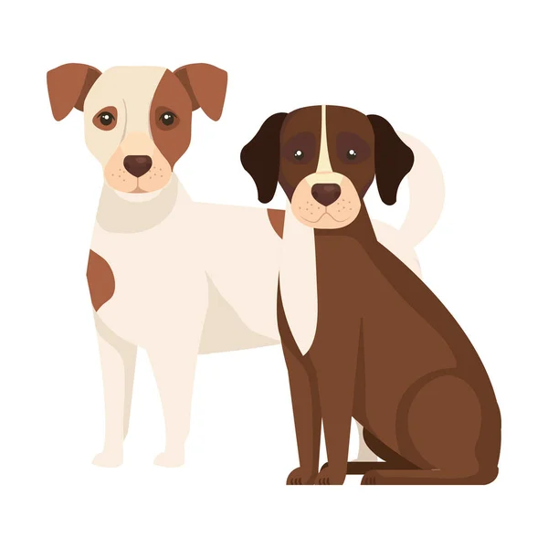 Group of dogs brown and white — Stockvector