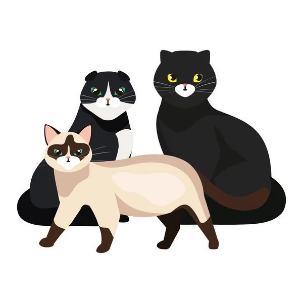 Grupo de gatos bonitos ícones isolados —  Vetores de Stock