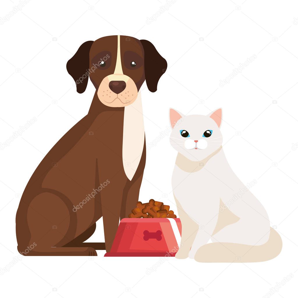 dog with cat and dish food isolated icon