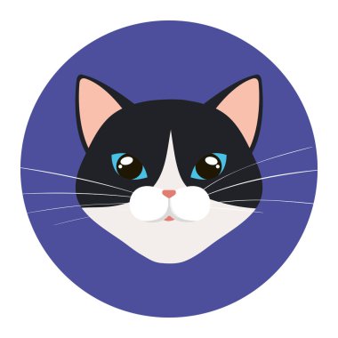 face of cat black and white in frame circular