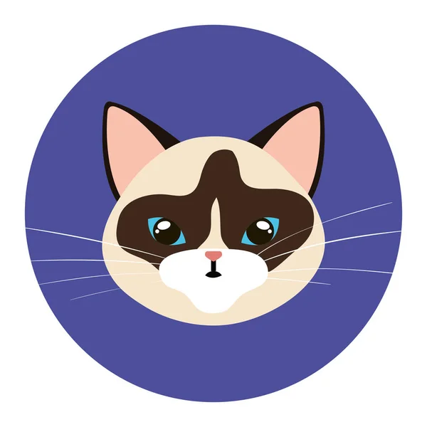 Лицо кошки животного в рамке круглой — стоковый вектор