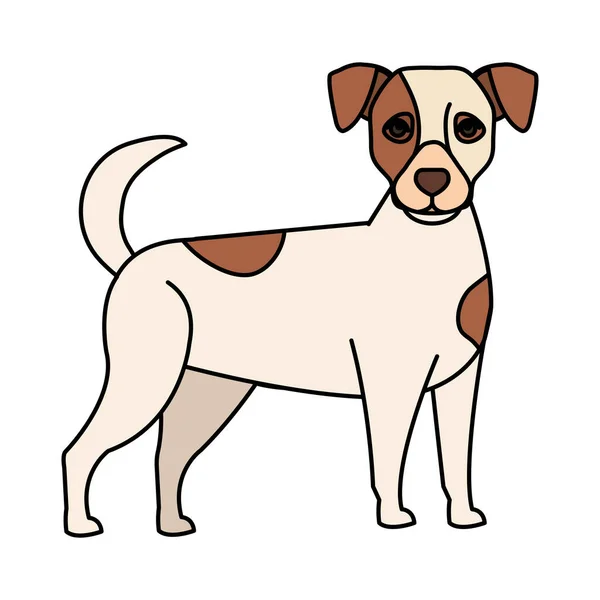 白い犬と茶色の斑点のある孤立したアイコン — ストックベクタ