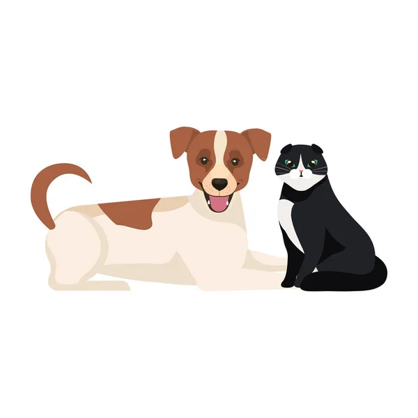 Bonito cão com gato preto e branco — Vetor de Stock