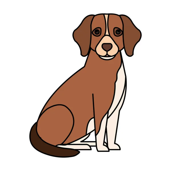 Perro marrón con punto blanco icono aislado — Vector de stock