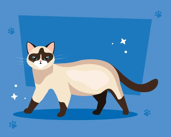 Χαριτωμένο γάτα σε μπλε φόντο με pawprints — Διανυσματικό Αρχείο