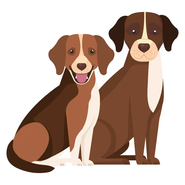 Grupo de cães marrom e branco —  Vetores de Stock