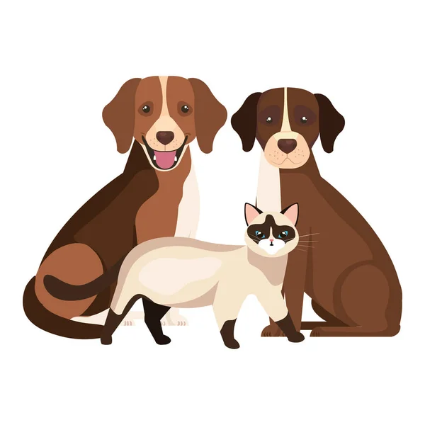 Grupo de perros con gatos aislados iconos — Archivo Imágenes Vectoriales