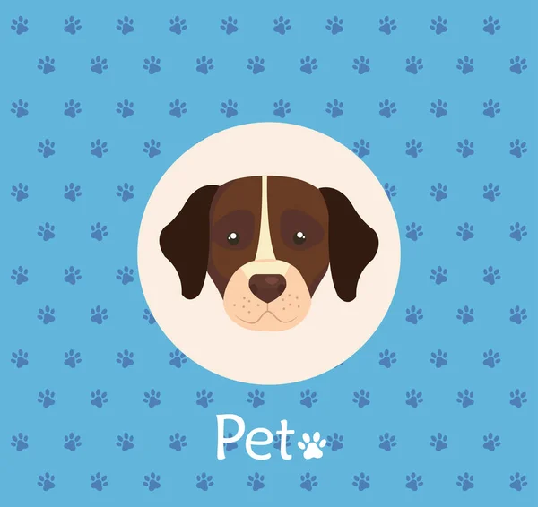 Visage de chien brun avec tache blanche en arrière-plan avec des empreintes de pions — Image vectorielle