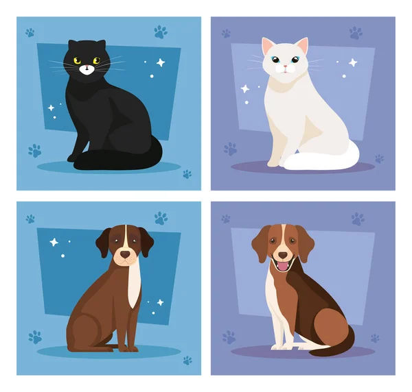 かわいい猫と犬のポスター — ストックベクタ