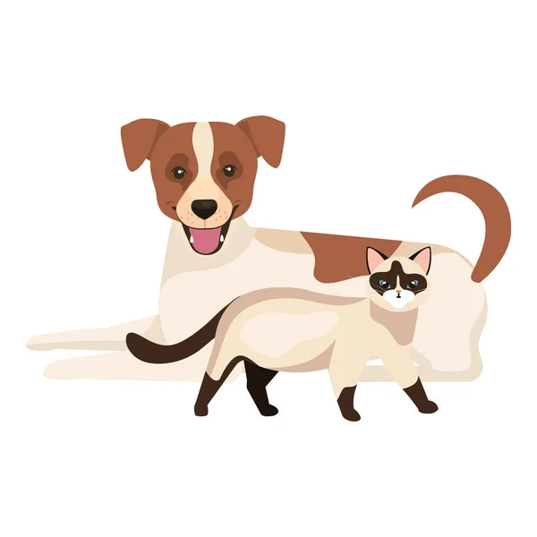 Lindo perro con gato aislado iconos — Archivo Imágenes Vectoriales